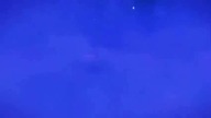 The Lion King Patreon(1)
