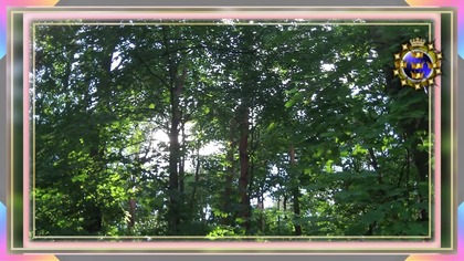 JuTubki.  LiX-LiX. ^ (Muzyczny).  (Slajdy). BiSTRO Electrique.