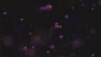 Cant Find You Online  #deephouse #newsong #shorts #makemylyricsmove