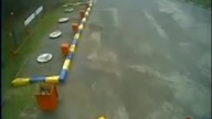 Rozjechał psy [+18]