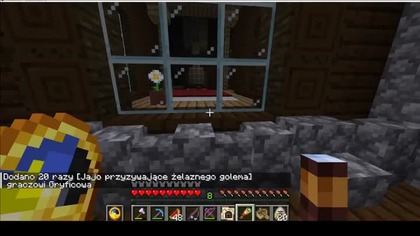 I enter through the window