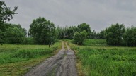 Lekki deszcz na polnej drodze &mdash; mokre łąki i wierzby, do snu