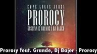 Prorocy feat. Grande, Dj Bajer - Prorocy