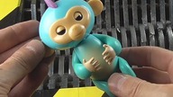Shredding Machine Crushing: ZOE Fingerlings Destruction