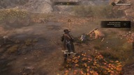 Rytuał i Wielki Król |Greedfall Gold Edition #35 #greedfall