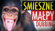 ŚMIESZNE MAŁPY #1  DUBBING: MATT OLECH