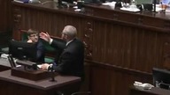 Grzegorz Braun: Nawiązanie do PAŁOWANIA w Holandii to była GROŹBA karalna wobec posłów?
