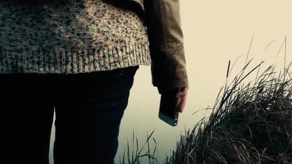 Moth (2016) PL.