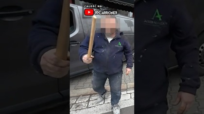 Spieniony nosacz z patykiem