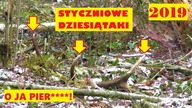 Zrzuty 2019, Styczniowe Dziesiątaki Jelenia, Szczęście Dopisało