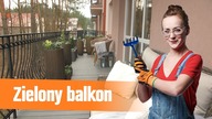 Duży BALKON z widokiem na las