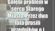 Gołębi problem w sercu Starego Miasta.  Przez dwa lata prosili urzędników o jego rozwiązanie