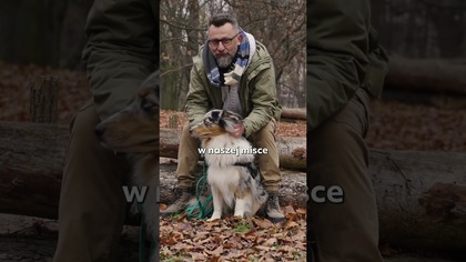 CHCESZ POPRAWIĆ ZDROWIE PSA? BEHAWIORYSTA POKAZUJE, JAK WYBRAĆ KARMĘ, KTÓRA ROBI REALNĄ RÓŻNICĘ!