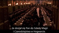 Harry Potter 10 lat ekranowej magii