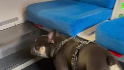 0a161597-8fb8-455d-9bc1-dce22147cfa3