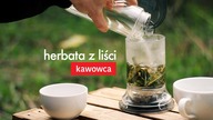Herbata z liści kawowca KUTI. Czajnikowy.pl