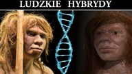 Hybrydy Różnych Gatunków Człowieka - Odkrycia Naukowe