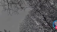 komfort #music #dance #trueman