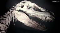 Ożywić dinozaury