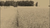 Narodowy Agraryzm - Honor - ojczysta ziemia