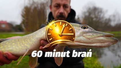 ZŁOTA GODZINA nad jeziorem  szczupaki i okonie brały jak szalone