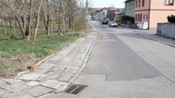 Falujący i porośnięty chodnik zagrożeniem dla pieszych