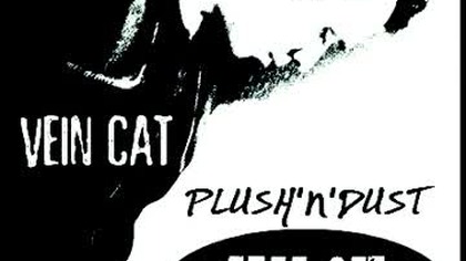 vein cat - plushndust set