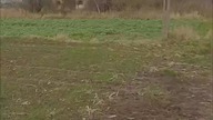 Dlaczego rodziny z tych dwóch gospodarstw-widm nagle zniknęły?