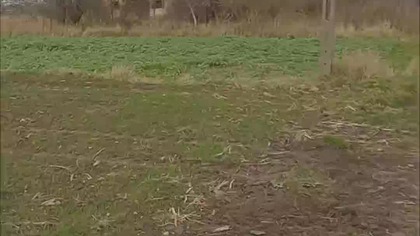 Dlaczego rodziny z tych dwóch gospodarstw-widm nagle zniknęły?