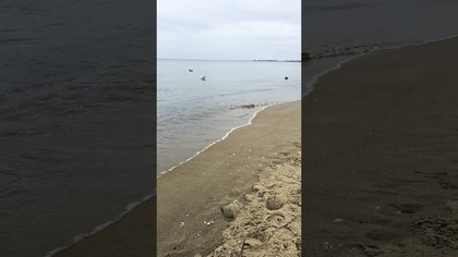 Szum fal #vlogi #plaża #polskiemorze