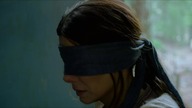 Nie otwieraj oczu (Bird Box2018) Lektor Pl 1080p.