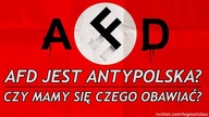 Niemieckie AFD Ma Powiązania z Nazizmem. Czy Jest Się Czego Obawiać?