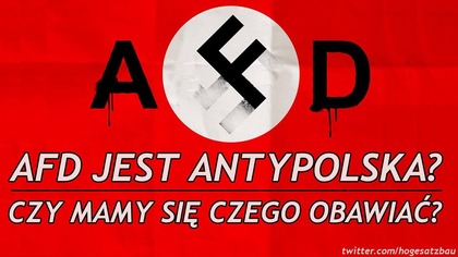 Niemieckie AFD Ma Powiązania z Nazizmem. Czy Jest Się Czego Obawiać?