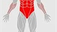 SKUTECZNE BRZUSZKI na SUWNICY