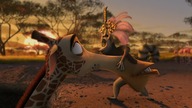 Madagaskar 2 (2008) | Kr&oacute;l Julian na Walentynki | Jak uwieść kobietę!