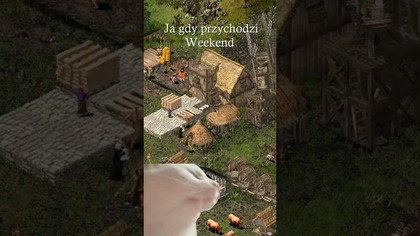 Weekend! #stronghold #twierdza #gaming #letsplay #stronghold4 #cats #fyp #dc #catshorts #catsvideo