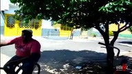 Brazylijski troll