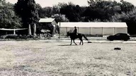 Horse Riding 02 (July 2025)