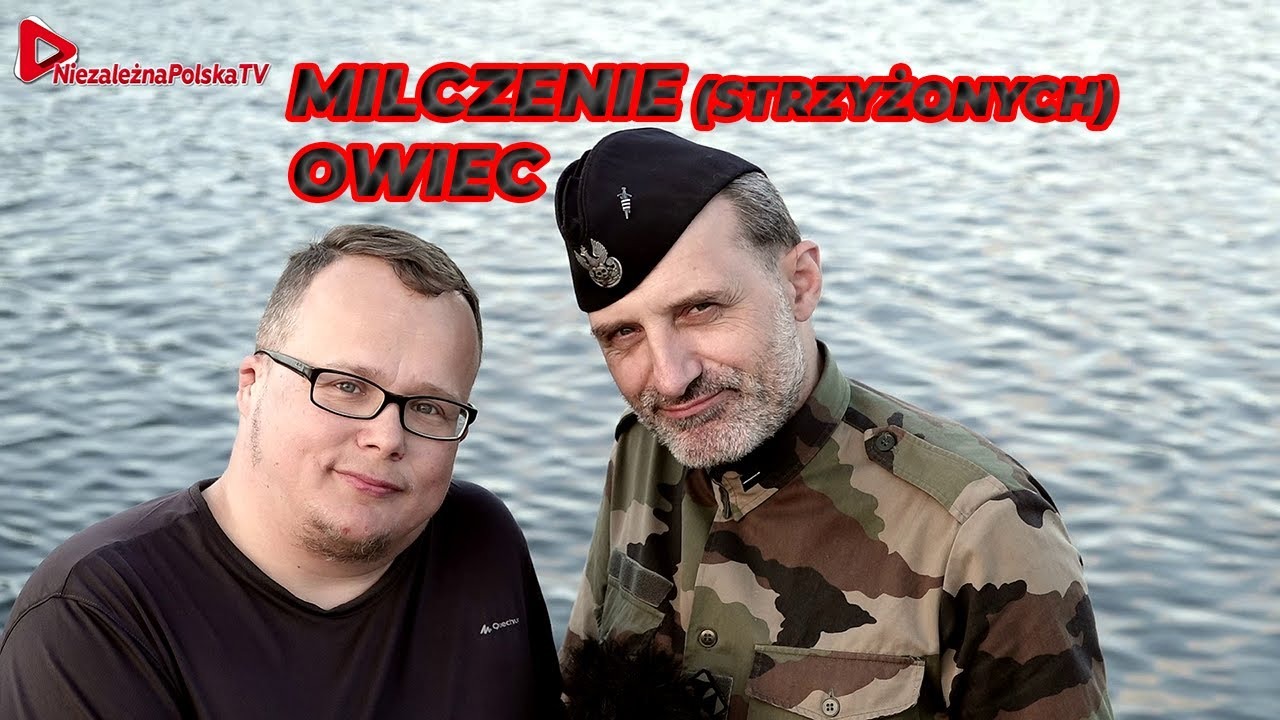 Co Można Powiedzieć O Związku Kinga I Mamy 22.7 - zmiana regulaminu YouTube. Co pozytywnego można powiedzieć