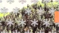 Val di Fiemme 1991 - TV intro / czołówka
