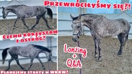 PRZEWRÓCIŁYŚMY SIĘ? - Q&A + LONŻOWANIE PUNTY * WV #126