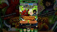 RISING CARNIVAL SUMMON CELL MAX TICKET SUMMON