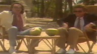 Laid Back- Sunshine reggae