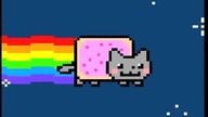 Nyan cat original kot we wszechświecie