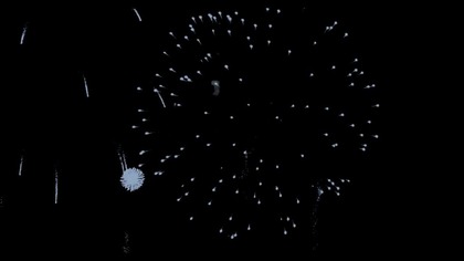 Vein Cat- Fireworks (softcore)
