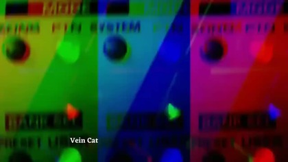Mery Biernacka & Vein Cat - Motylarnia - teaser @merybiernackaofficial