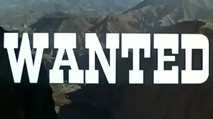 Poszukiwany (Napisy PL)