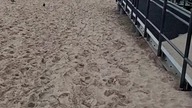 Sarbinowo - Chłopy! Spacer nad morzem! Jaka pogoda nad Morzem Bałtyckim? Q&A z Sarmatą! Plaża!