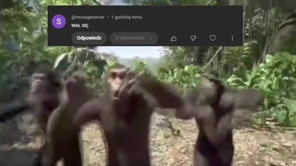 Spłakani widzowie Ercia najlepsze komentarze