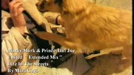 PRINCE ITAL JOE feat.  MARKY MARK- United (Extended Mix)